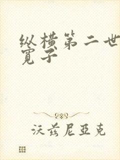 纵横第二世界 宽子