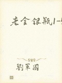 老金银瓶1-5