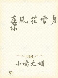 在风花雪月里等你