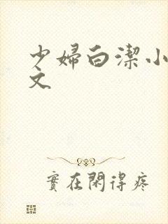 少妇白洁小说全文