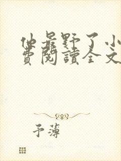 他最野了小说免费阅读全文