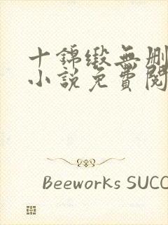 十锦缎无删原著小说免费阅读