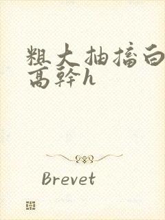 粗大抽搐白浊h高干h