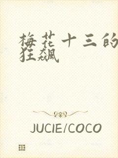 梅花十三的乳液狂飙