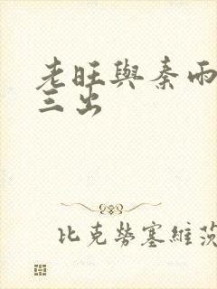 老旺与秦雨三进三出