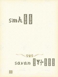 smhС˵