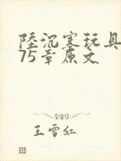 陆沉塞玩具高速75章原文