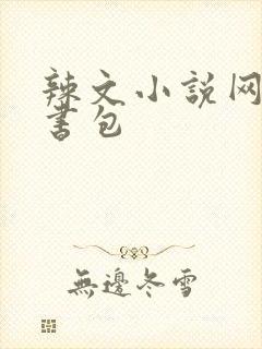 辣文小说网第二书包