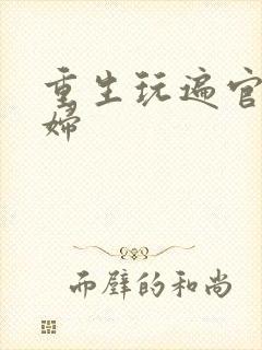 重生玩遍官场贵妇