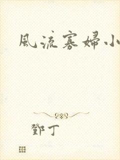 风流寡妇小说