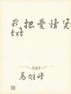 我把爱情煲成汤txt