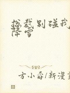 总裁别碰我 韩降雪