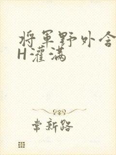 将军野外含公主H灌满