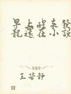 早上醒来发现巨龙还在小说