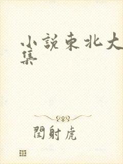 小说东北大炕全集