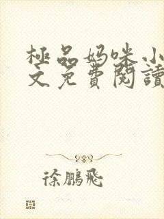 极品妈咪小说全文免费阅读