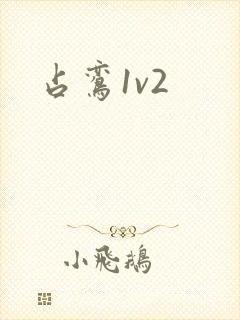 占鸾1v2