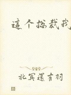 这个总裁我要了