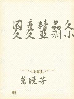 国产精品久久久久久亚洲小说