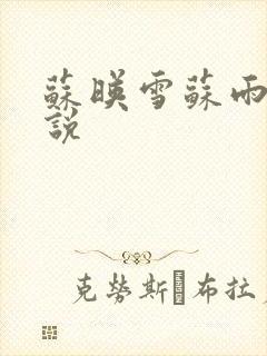 苏映雪苏雨柔小说