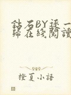 钻石BY逐一而归在线阅读