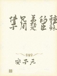 借兄弟的种生孩子周楚臣苏糖