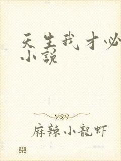 天生我才必有用小说