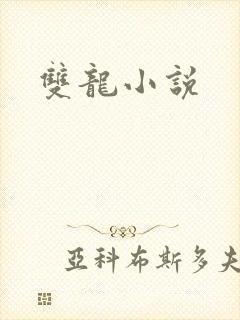 双龙小说
