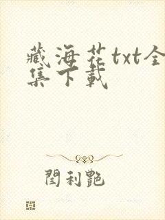 藏海花txt全集下载