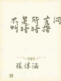 不是所有网站都叫暗暗撸