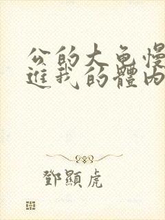 公的大龟慢慢挺进我的体内视频