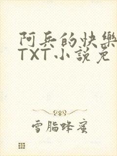 阿兵的快乐生活TXT小说免费阅读全章