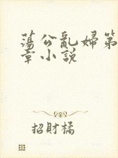 荡公乱妇第51章小说