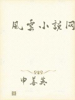 风云小说网