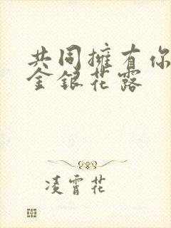 共同拥有你by金银花露