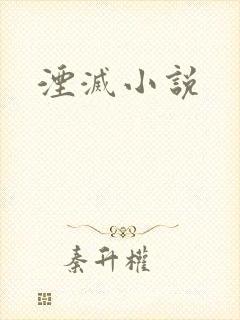 湮灭小说
