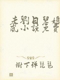 老刘日儿媳妇张岚小说免费阅读