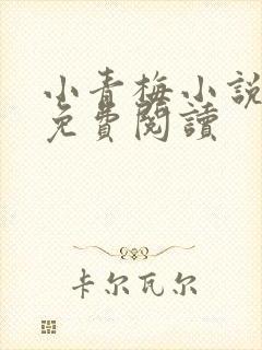小青梅小说全文免费阅读