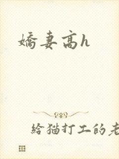 娇妻高h
