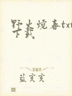 野火烧春txt下载