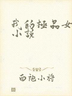 我的极品女老师小说