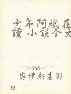 少年阿斌在线阅读 小说全文免费