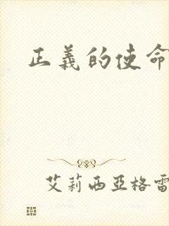 正义的使命小说