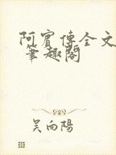 阿宾传全文阅读 笔趣阁