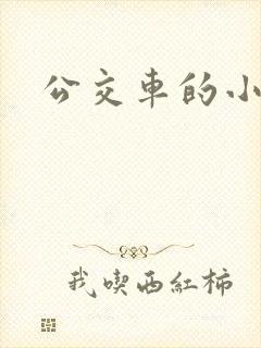 公交车的小说