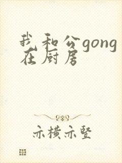 我和公gong在厨房