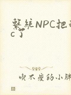 系统NPC把我c了