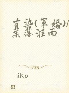 有染(军婚)/叶落淮南