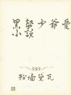 黑帮少爷爱上我小说
