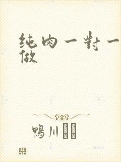 纯肉一对一到处做